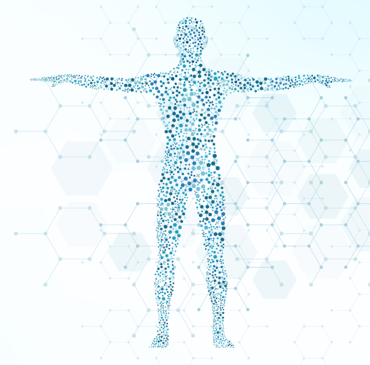 Human body — map of health outcomes I study