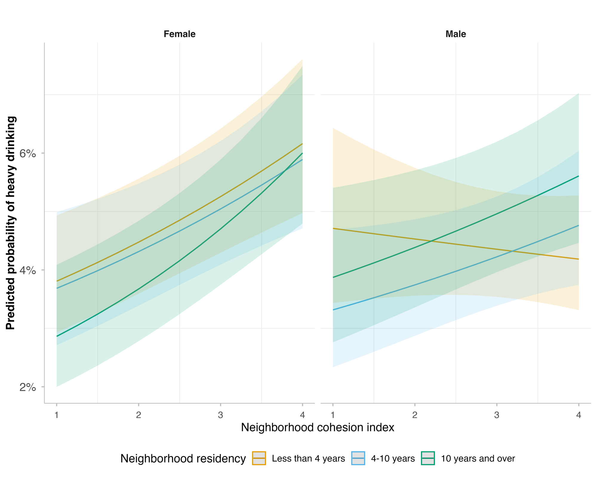 Predicted probability of heavy drinking by neighborhood cohesion and length of residence